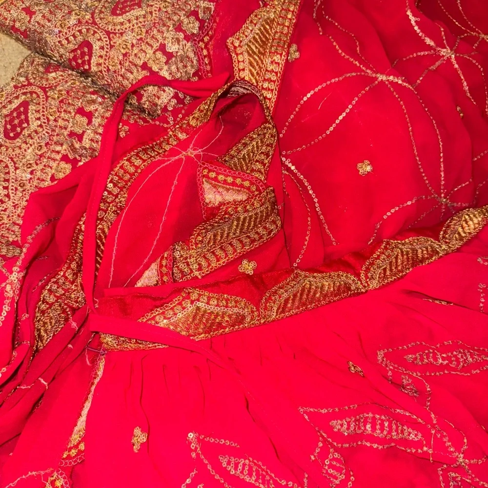 Pink Lehenga with Dupatta - Picture 10 of 15